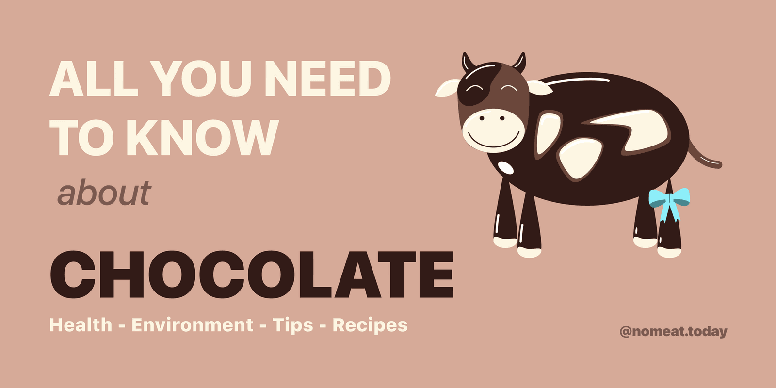 All you need to know about chocolate